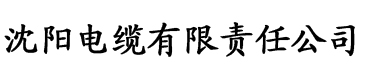 亚洲精品天堂成人片AV在线播放电缆厂logo